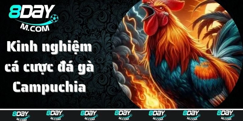 Đá Gà Campuchia: Cá Cược Đỏ Đen Xanh Chín Tại 8day Năm 2025