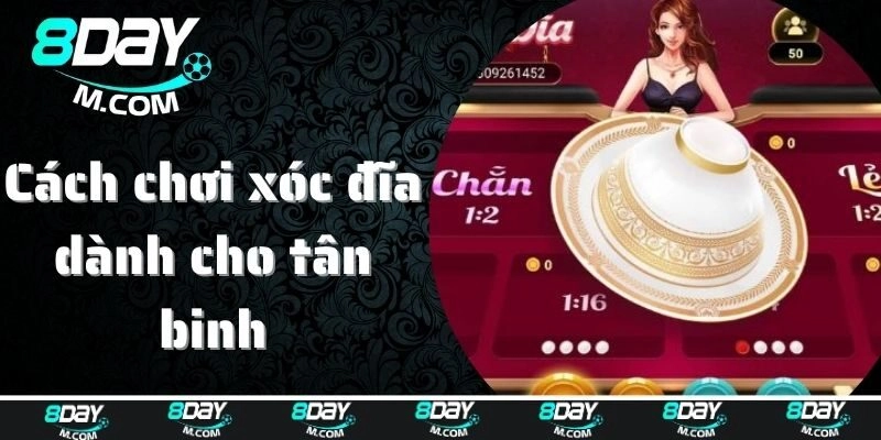 Bật Mí Cách Chơi Xóc Đĩa 8day Với Chiến Thuật Thông Minh